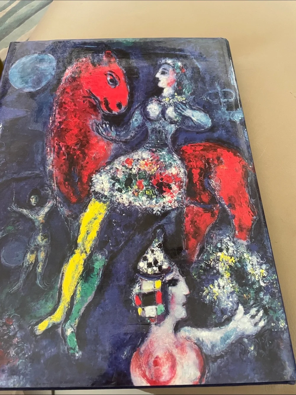 Book Chagall Dicovered great book showing his work.